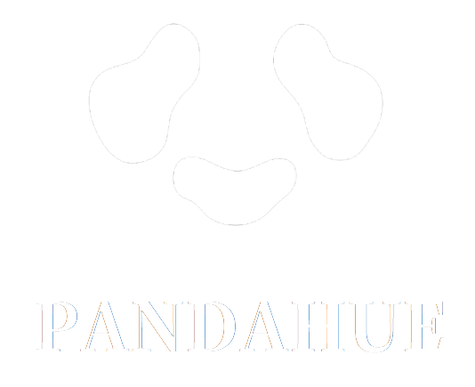 pandahue.com