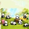 Panda blind box series         （Authentic product）