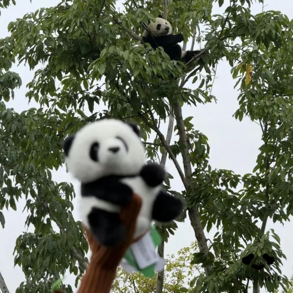 熊猫手杖-1 Flower Growing on Tree Plush Walking Stick