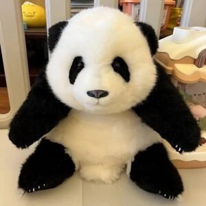 5-month-old Huahua simulation