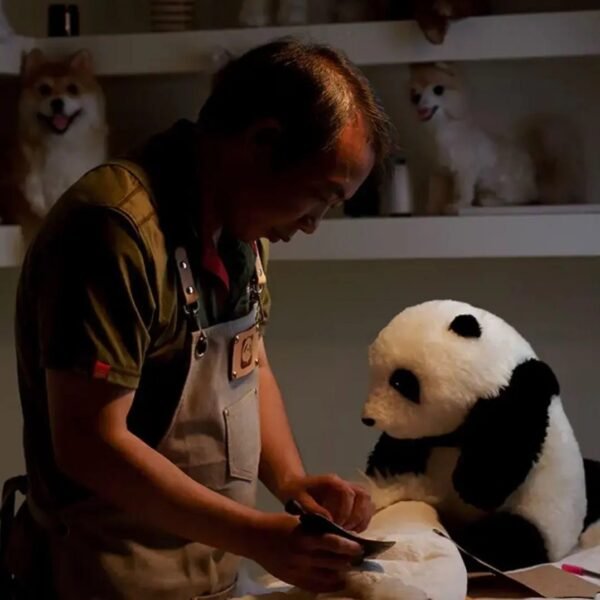 5-month-old Huahua simulation