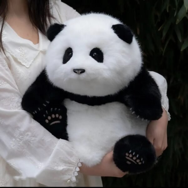 5-month-old Huahua simulation